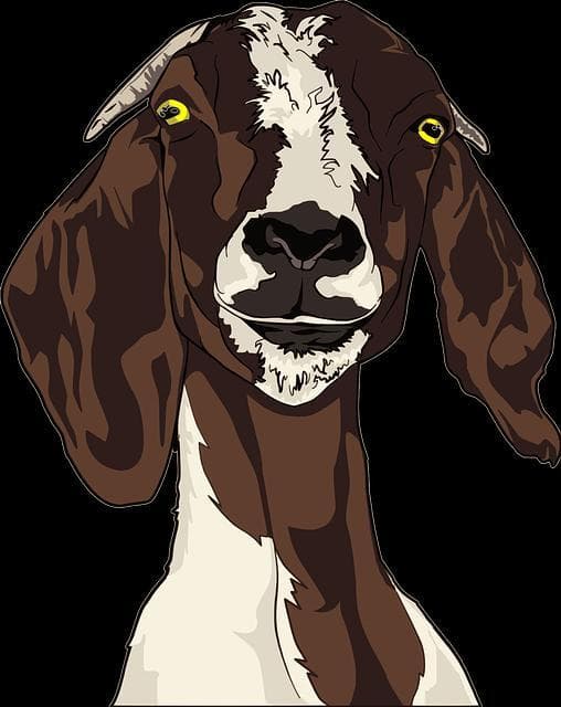 GOAT (laurenceyoung)
