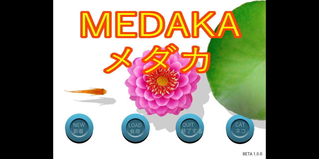 MEDAKA screenshot 2