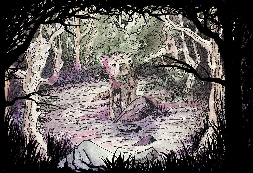 The Witchs Way
