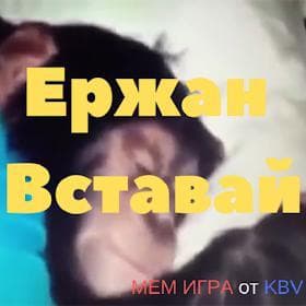 Ержан вставай мем игра