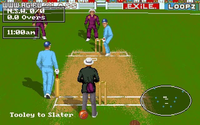 Allan Borders Cricket screenshot 4