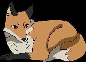 fox safe