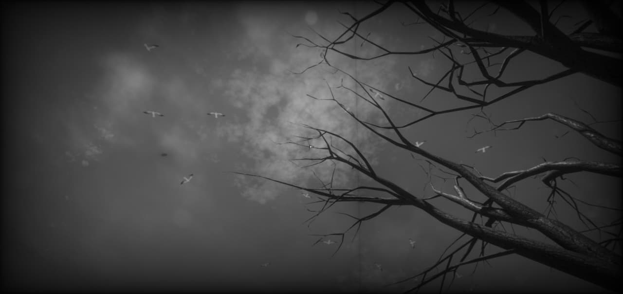 Before Dawn