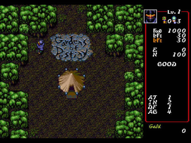 Dungeon Explorer (1994) screenshot 6