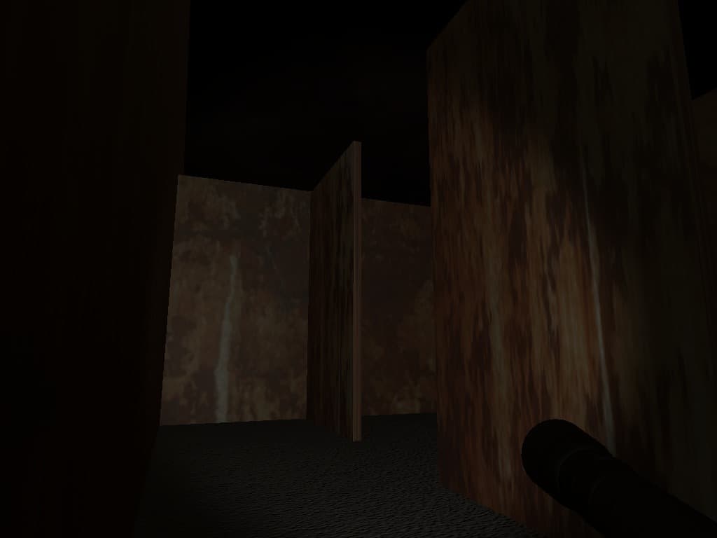 Alone In The Maze