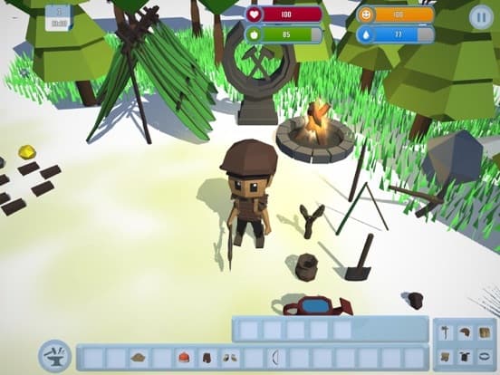 Survival In The Wilderness screenshot 2