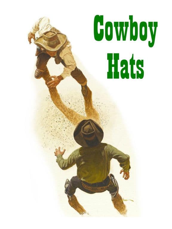 Cowboy Hats screenshot 2