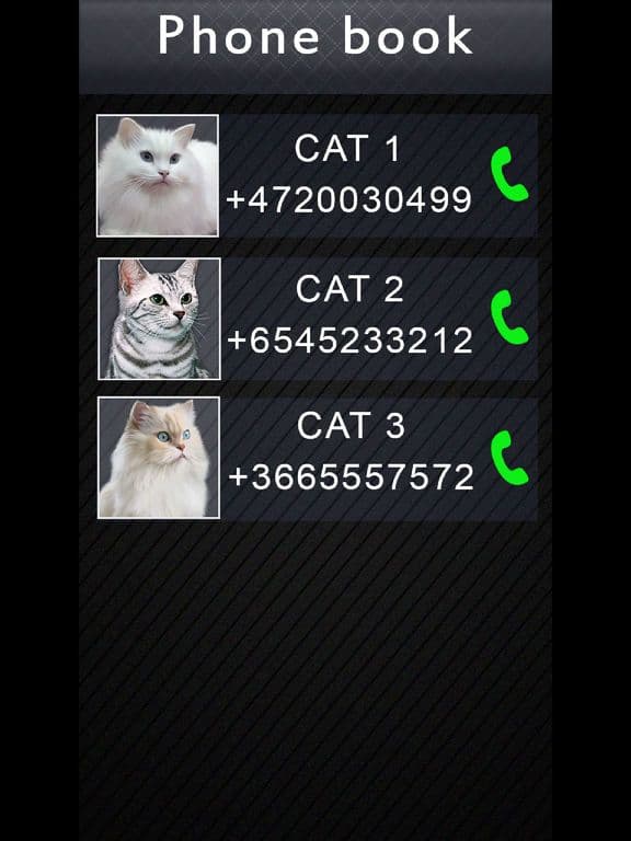 Fake Video Call Cat
