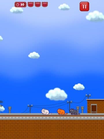Cats vs Birds screenshot 5