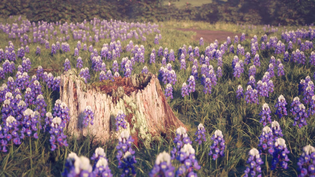 Petals (Petals Game) screenshot 4
