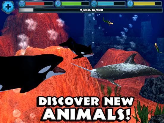 Orca Simulator screenshot 6