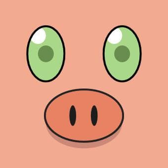 Flyn Piggy