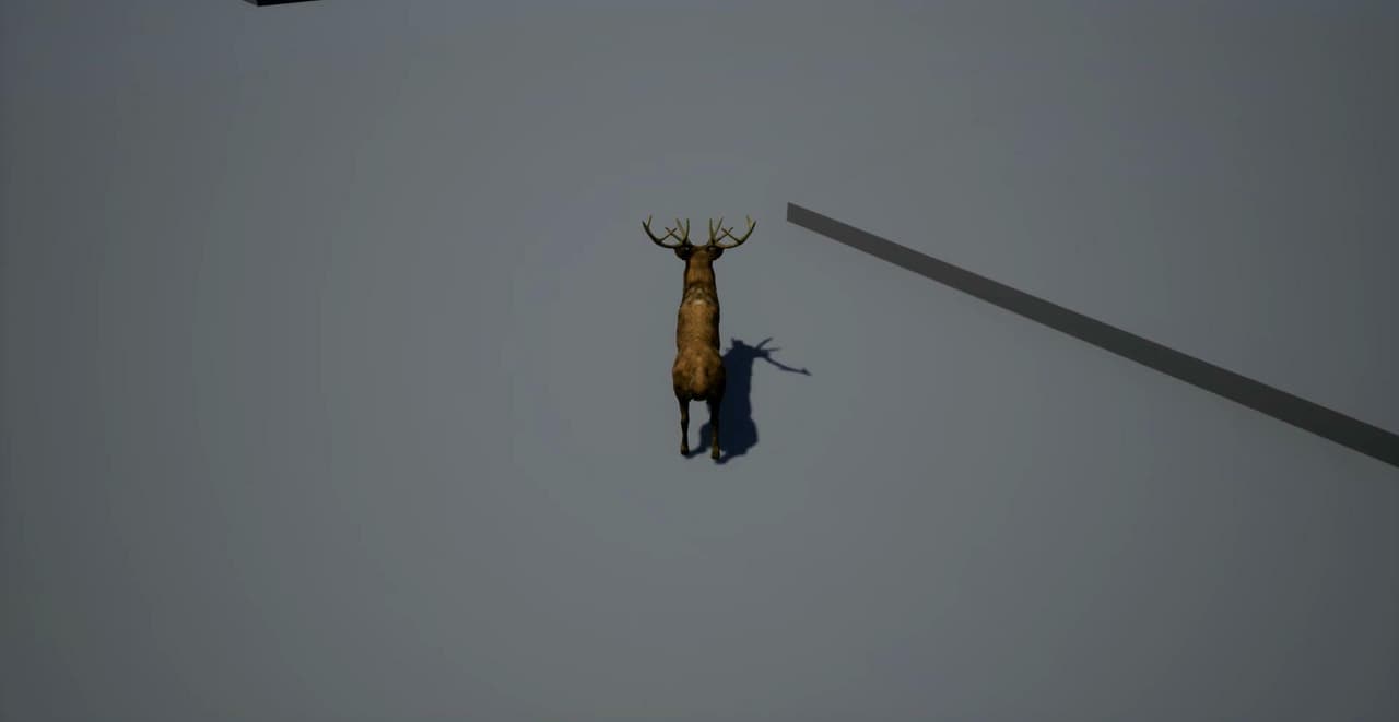 Animal Movement screenshot 2