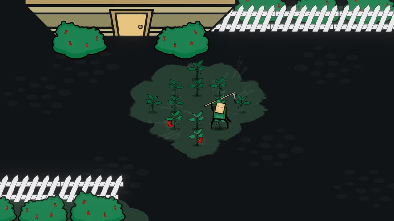 Does Money Grow on Trees