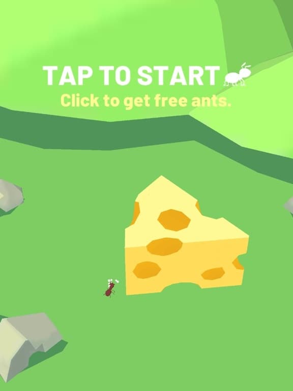 Sand Ant Farm