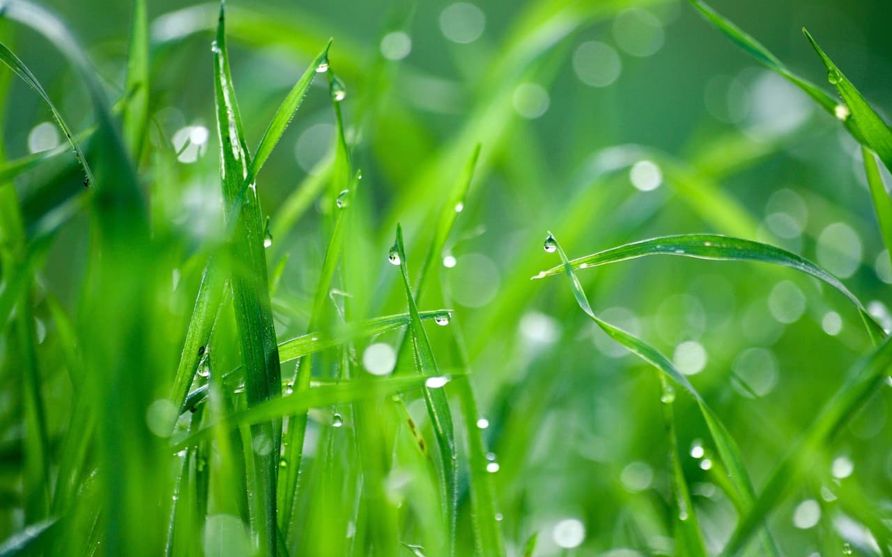 Under the Rain (OLD)