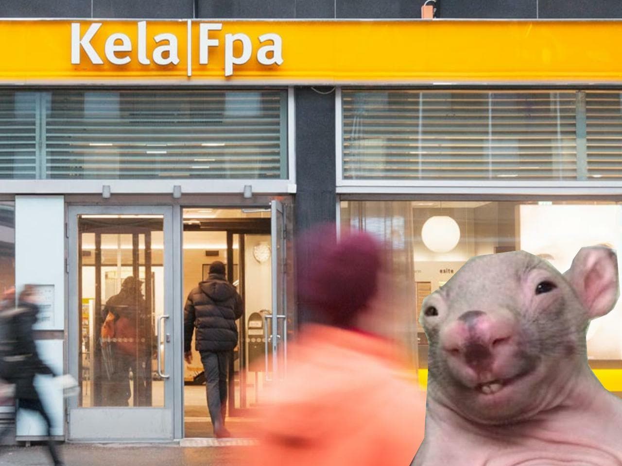 Vitun rotta