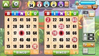 Bingo Casino!! screenshot 5