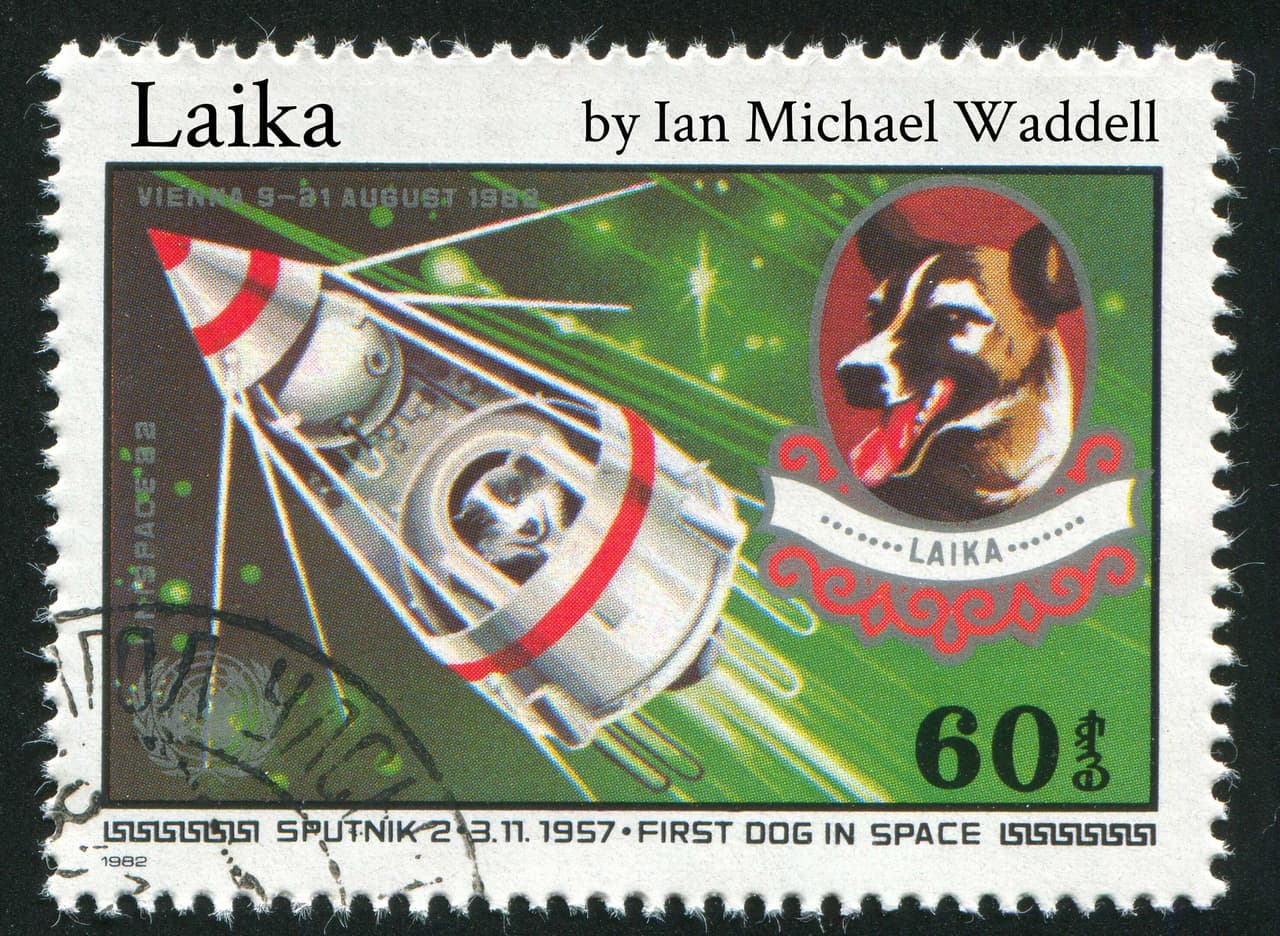 Laika (ian michael waddell)