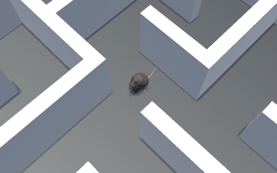 Aim to Cheese screenshot 2