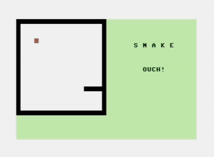 Snake64