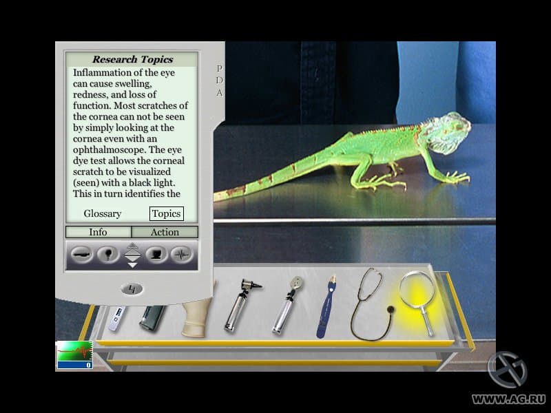 Vet Emergency 2 screenshot 4