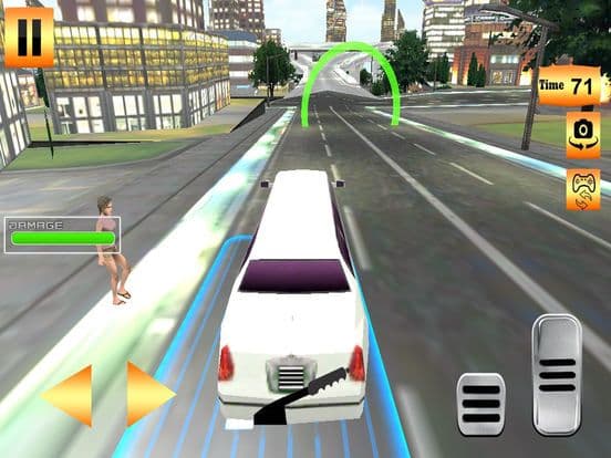 Limo Expert Taxi Rider