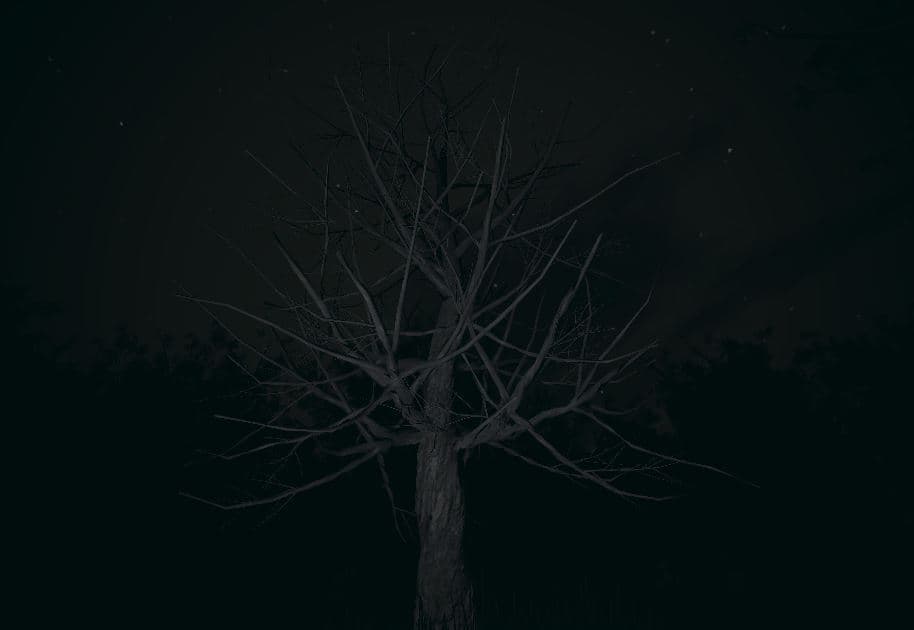 Slender the eight pages - unofficial remaster screenshot 4