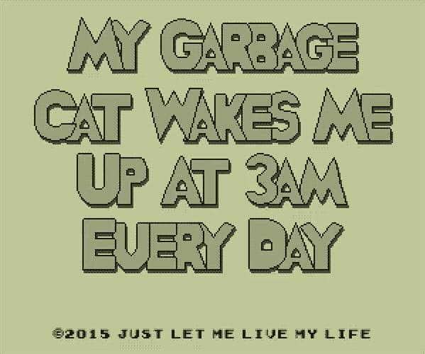 My Garbage Cat Wakes Me Up At 3AM Every Day screenshot 2