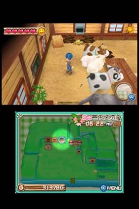 Harvest Moon 3D: A New Beginning screenshot 3