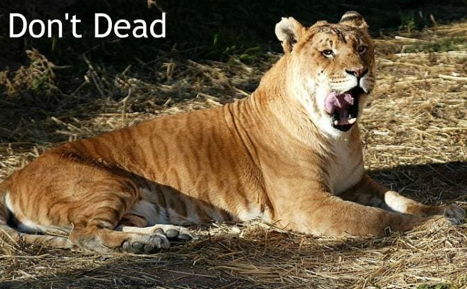 Dont Dead