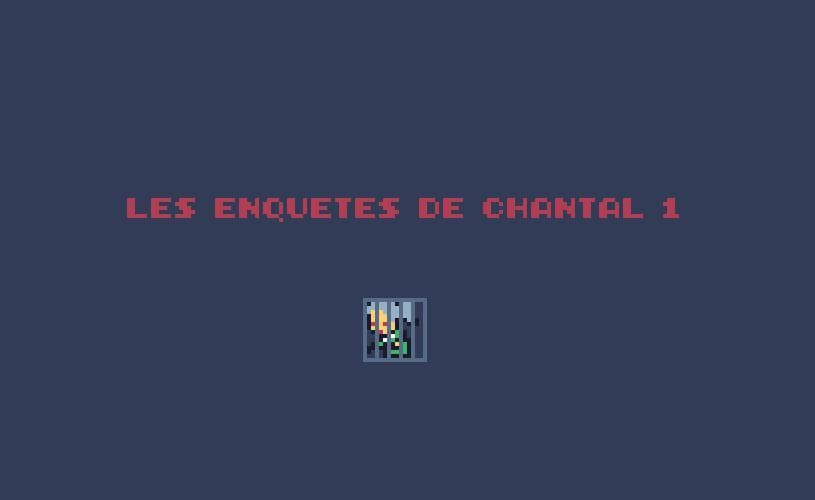 Les enquêtes de Chantal 1