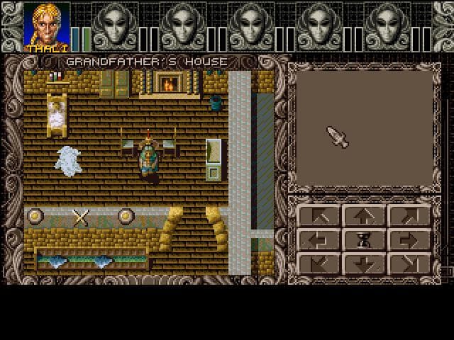 Ambermoon screenshot 3