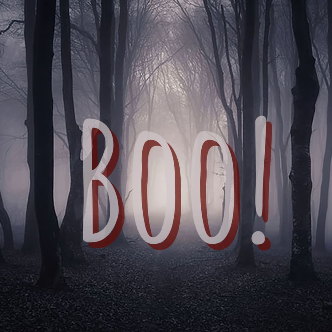 Boo! (Morisugames)