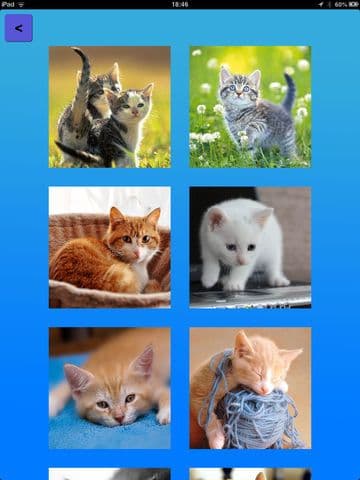 Cat Scramblers - a tile puzzle with cute kitty pictures!