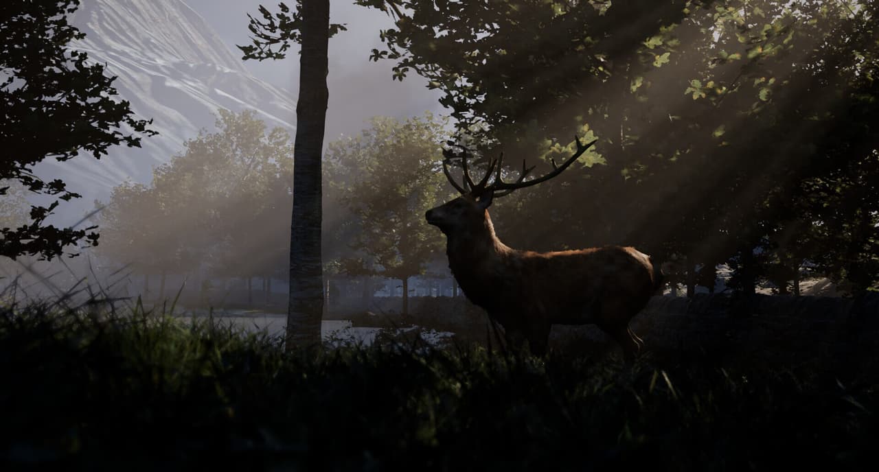 Never Rain screenshot 4