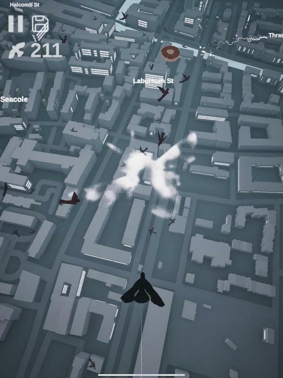 Pigeon: A Love Story screenshot 5