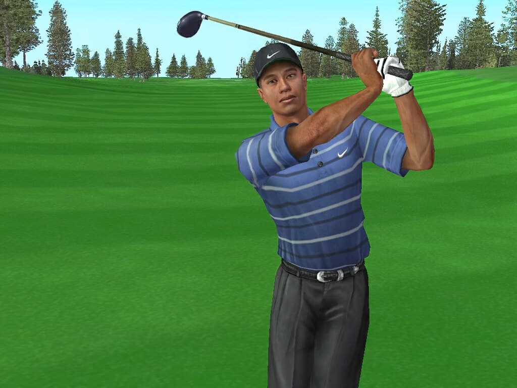 Tiger Woods PGA Tour 2005 screenshot 2