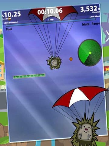 Hedgehog Learn To Fly