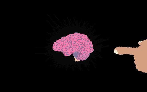 Brainxious