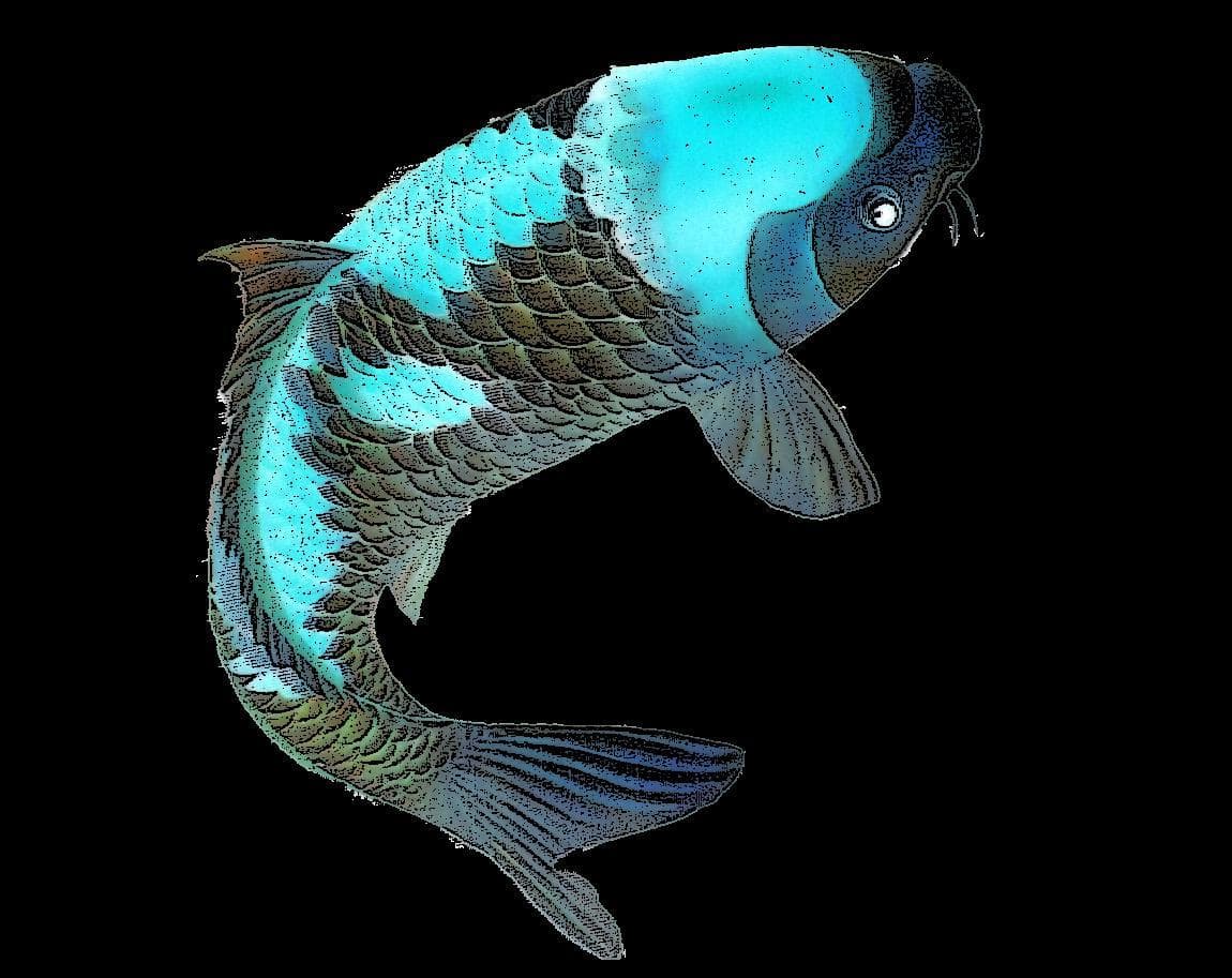 Cyberpunk Carp Killer