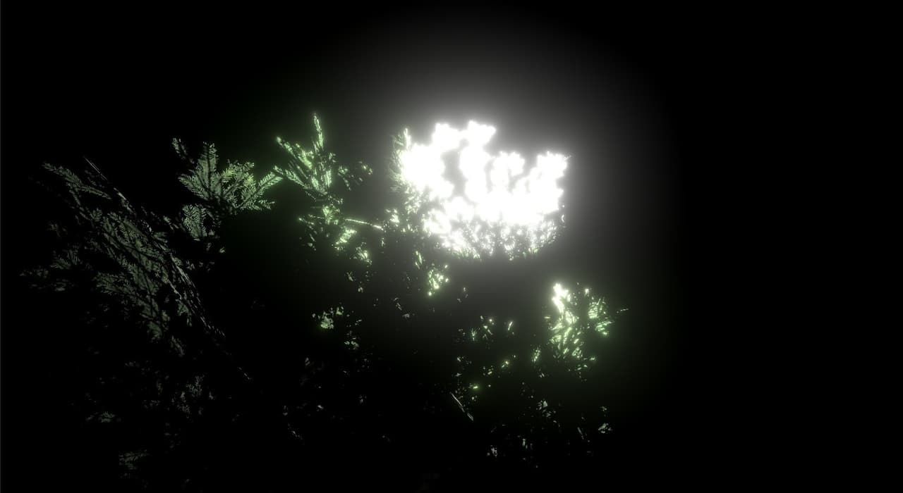 Blindness (nik555331@mail.ru)