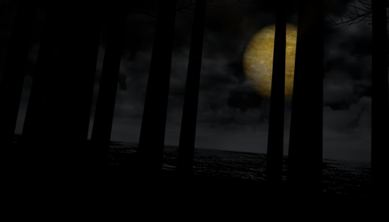 VR Forest screenshot 4
