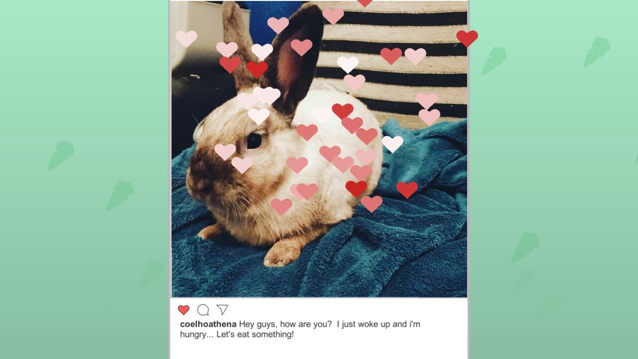 Athena, the rabbit - Jigsaw Puzzle screenshot 5