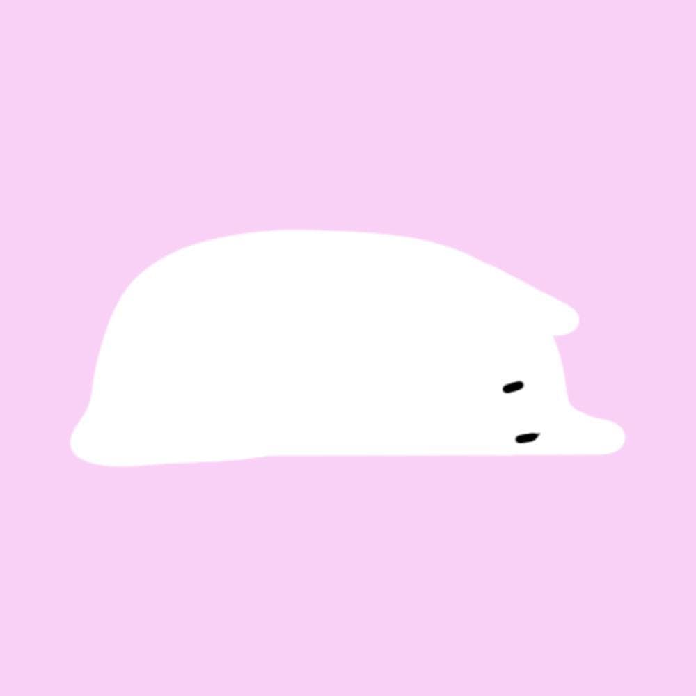 FLOP (Vi_Trinh)