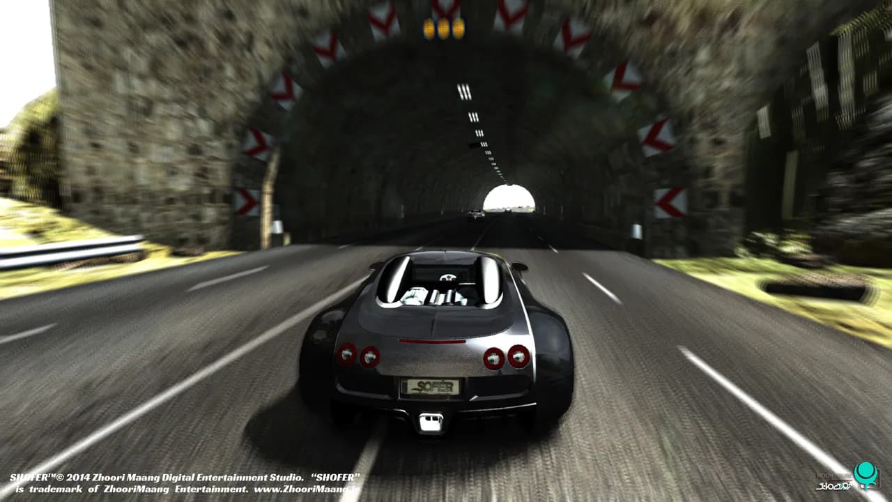 SHOFER Race Driver
