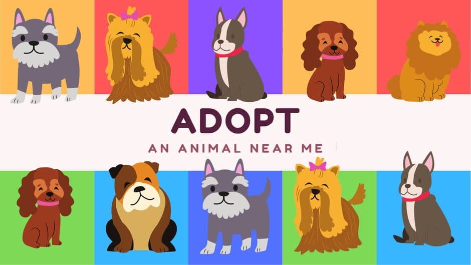 Adopt an Animal Near Me screenshot 6