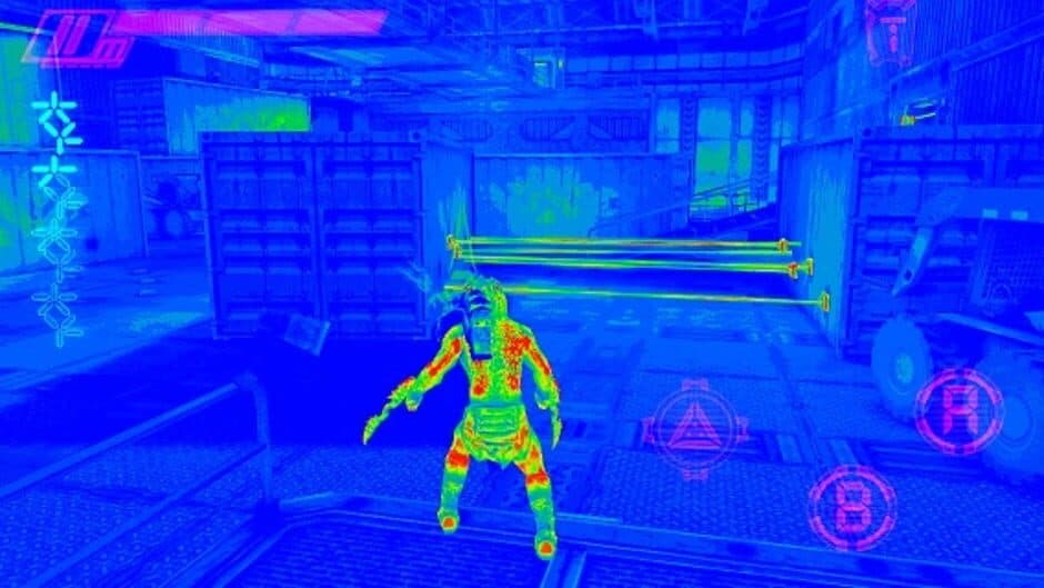 AVP: Evolution