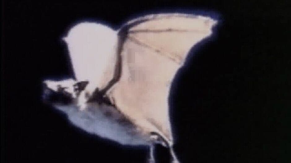 Terror T.R.A.X.: Track of the Vampire screenshot 5