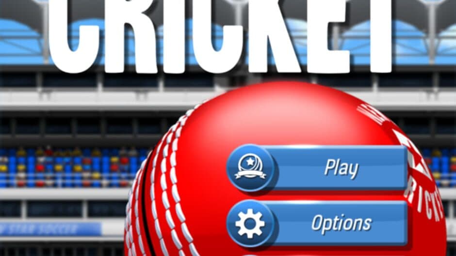 New Star Cricket screenshot 5